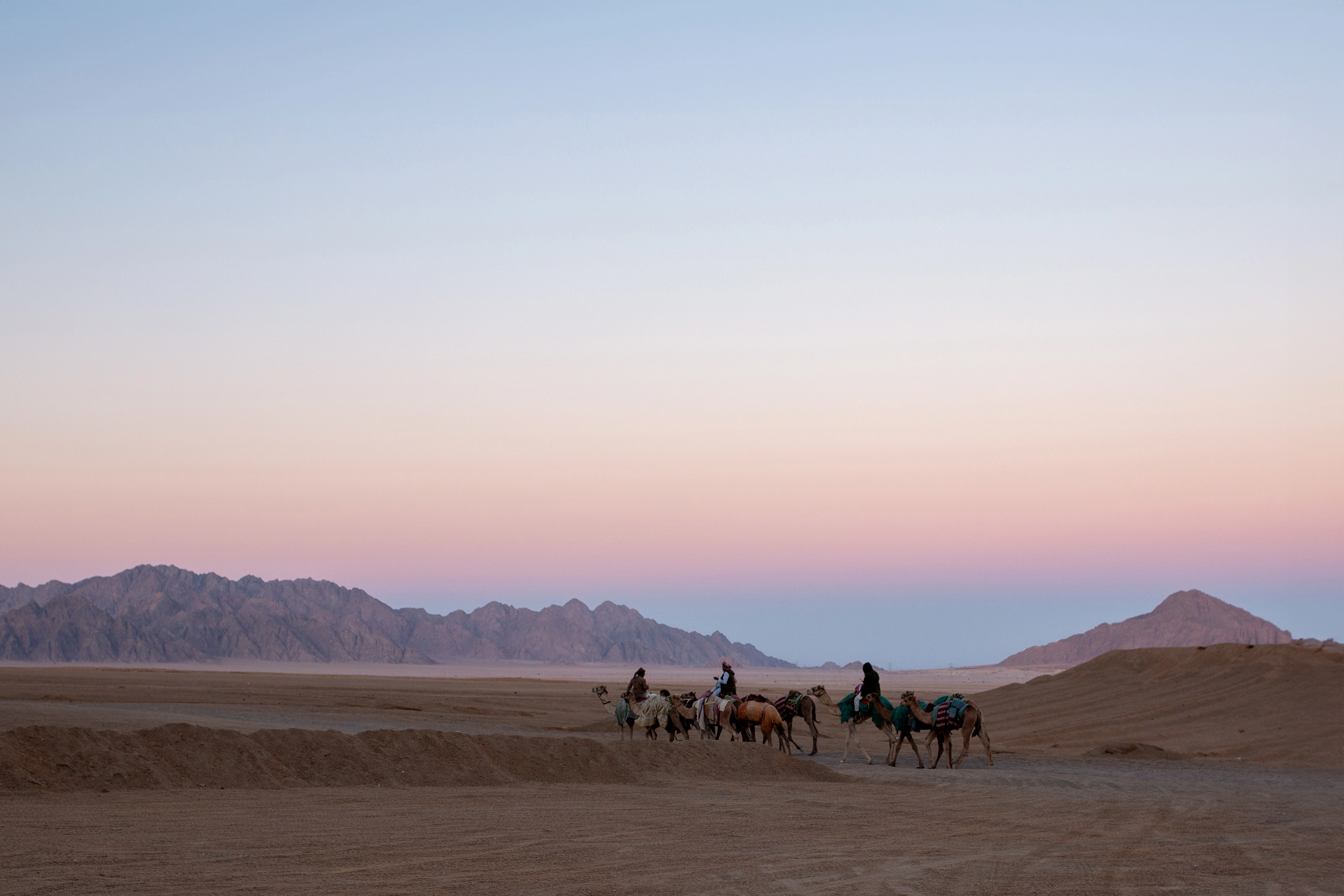 Horse Riding Tour in Hurghada Sea & Desert with Transfer, photo 4