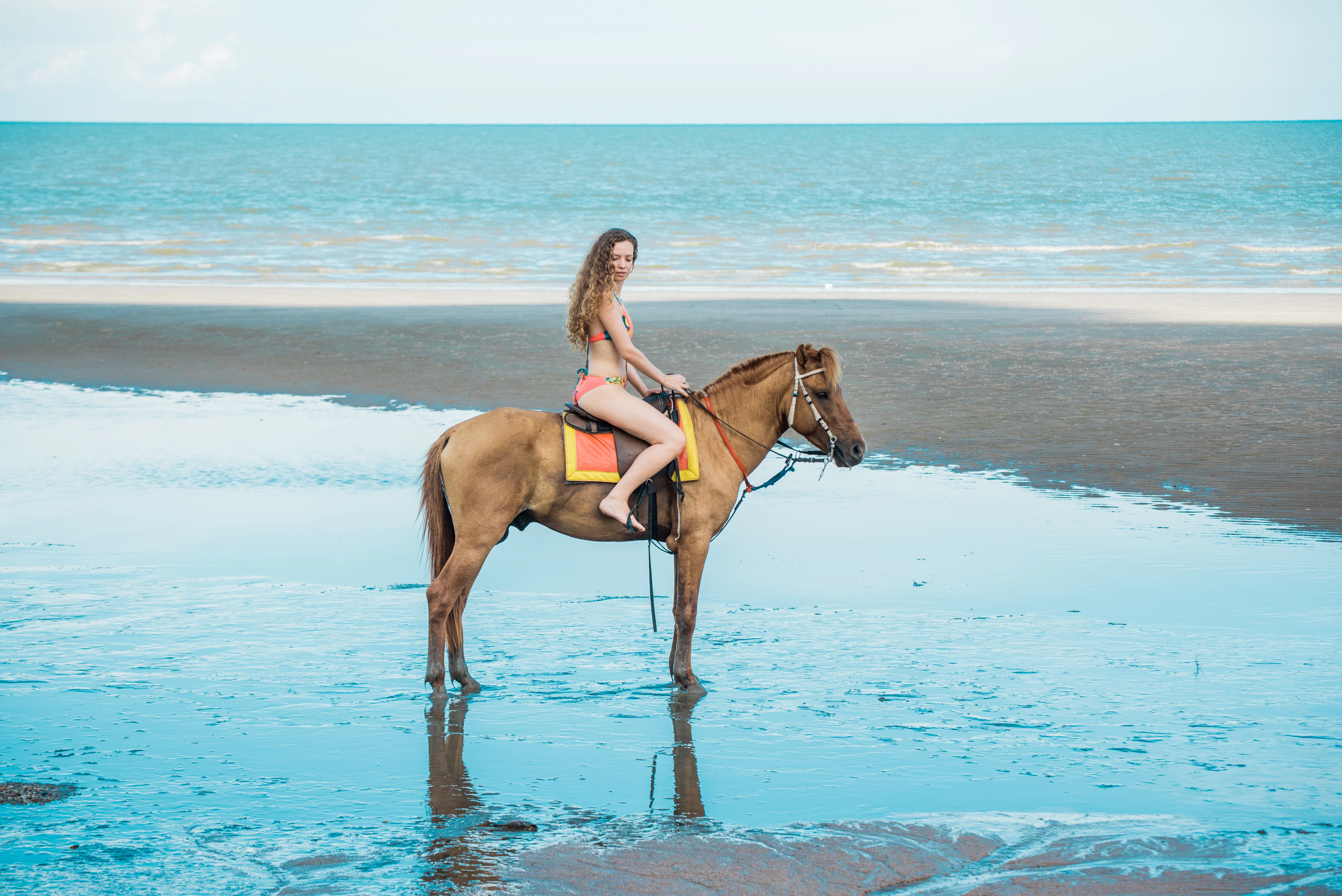 Horse Riding Tour in Hurghada Sea & Desert with Transfer, photo 5