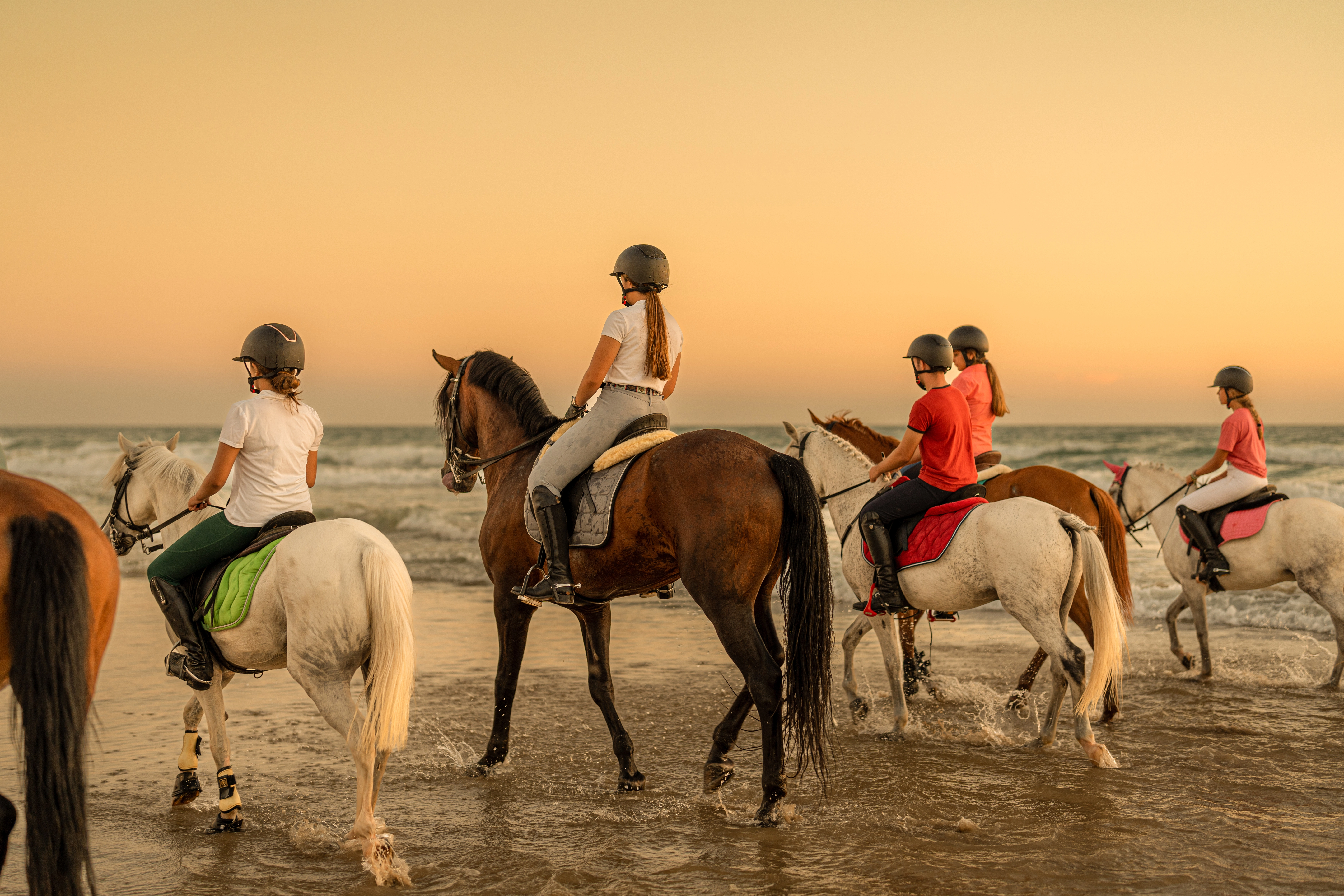 Horse Riding Tour in Hurghada Sea & Desert with Transfer, photo 6
