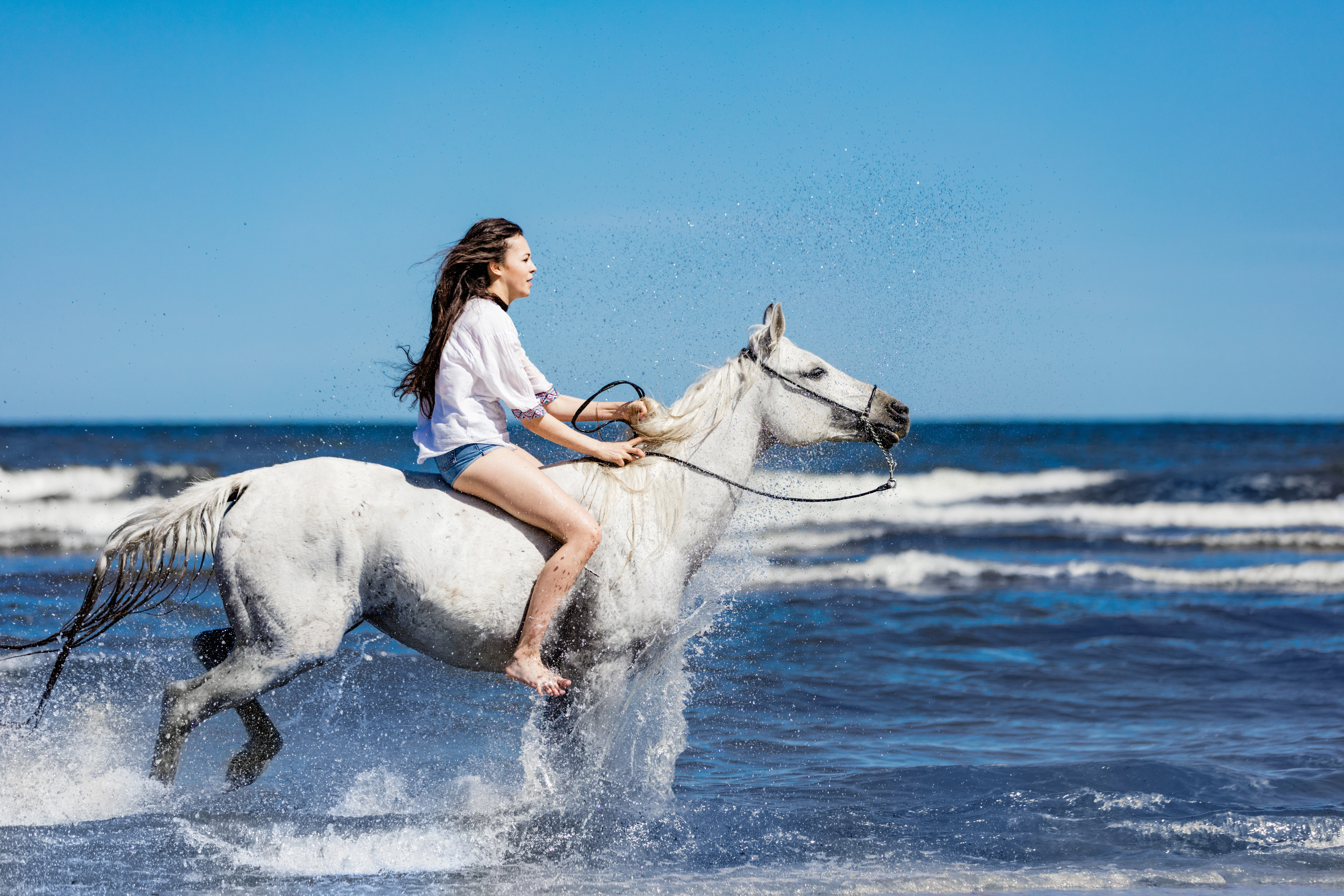 Horse Riding Tour in Hurghada Sea & Desert with Transfer, photo 8