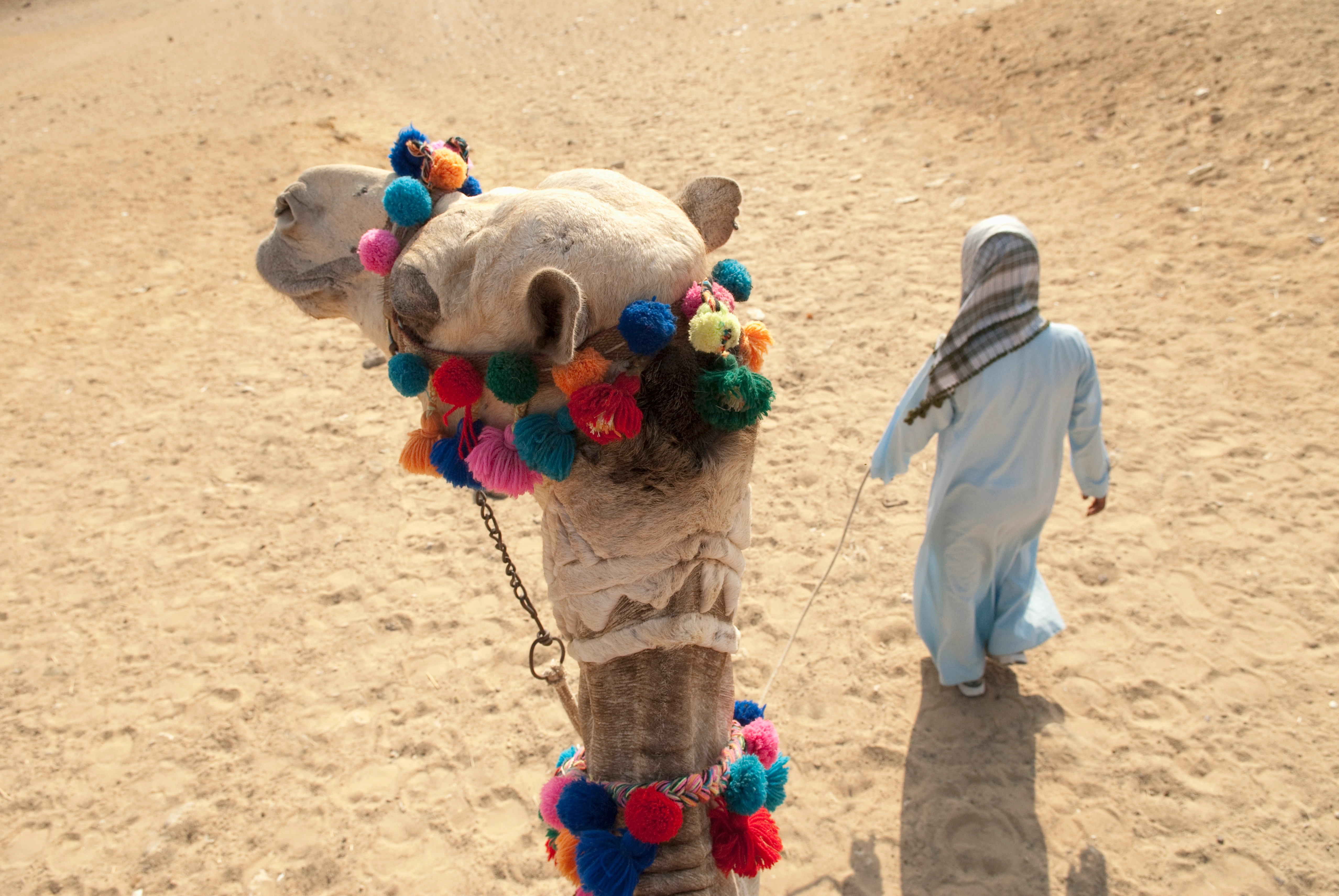 Desert Safari ATV Quad, Camel Ride, BBQ Dinner & Show in Sharm El Sheikh, photo 4