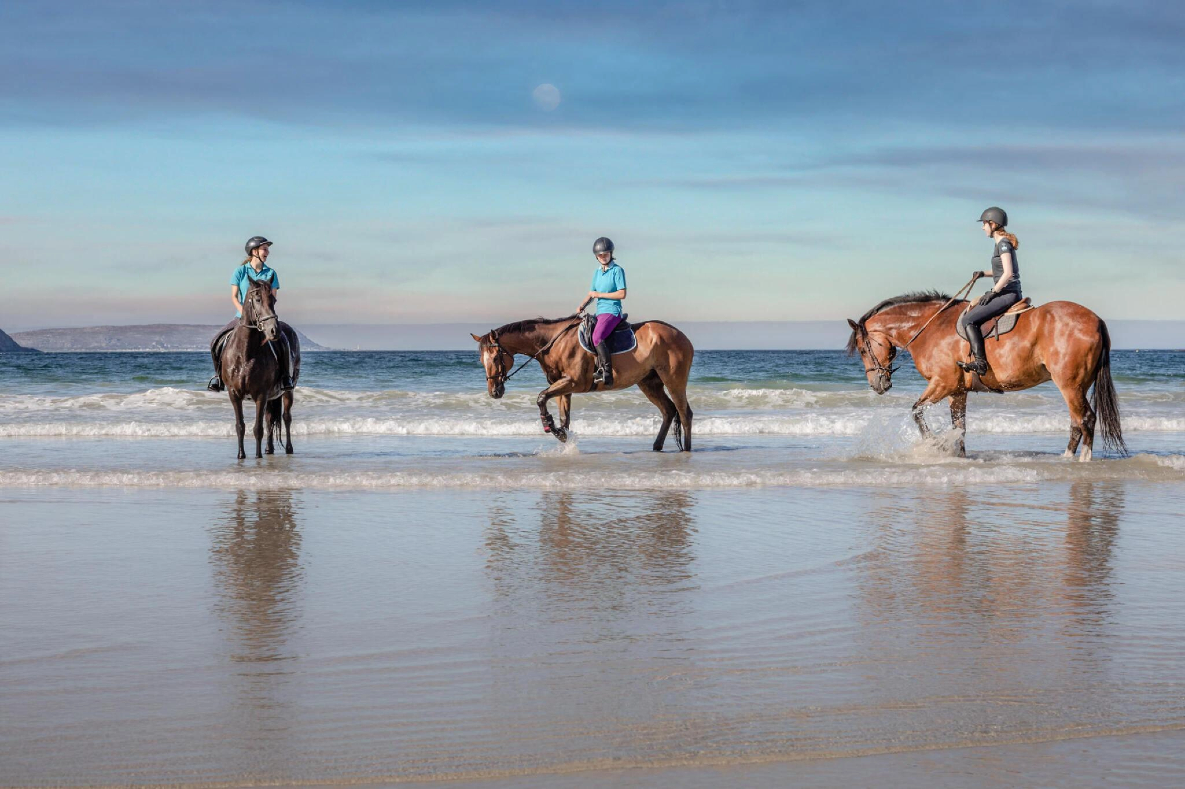 Horse Riding Tour in Hurghada Sea & Desert with Transfer, photo 13
