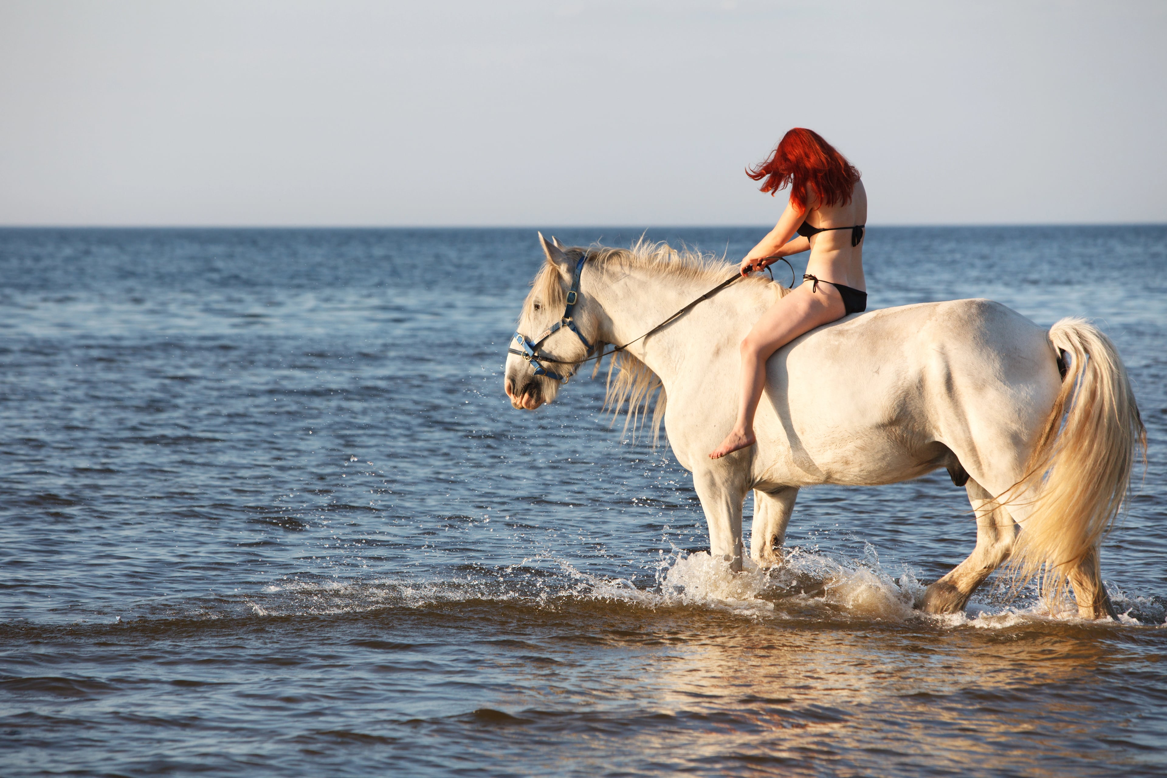 Balade à cheval à travers le désert d'Hurghada