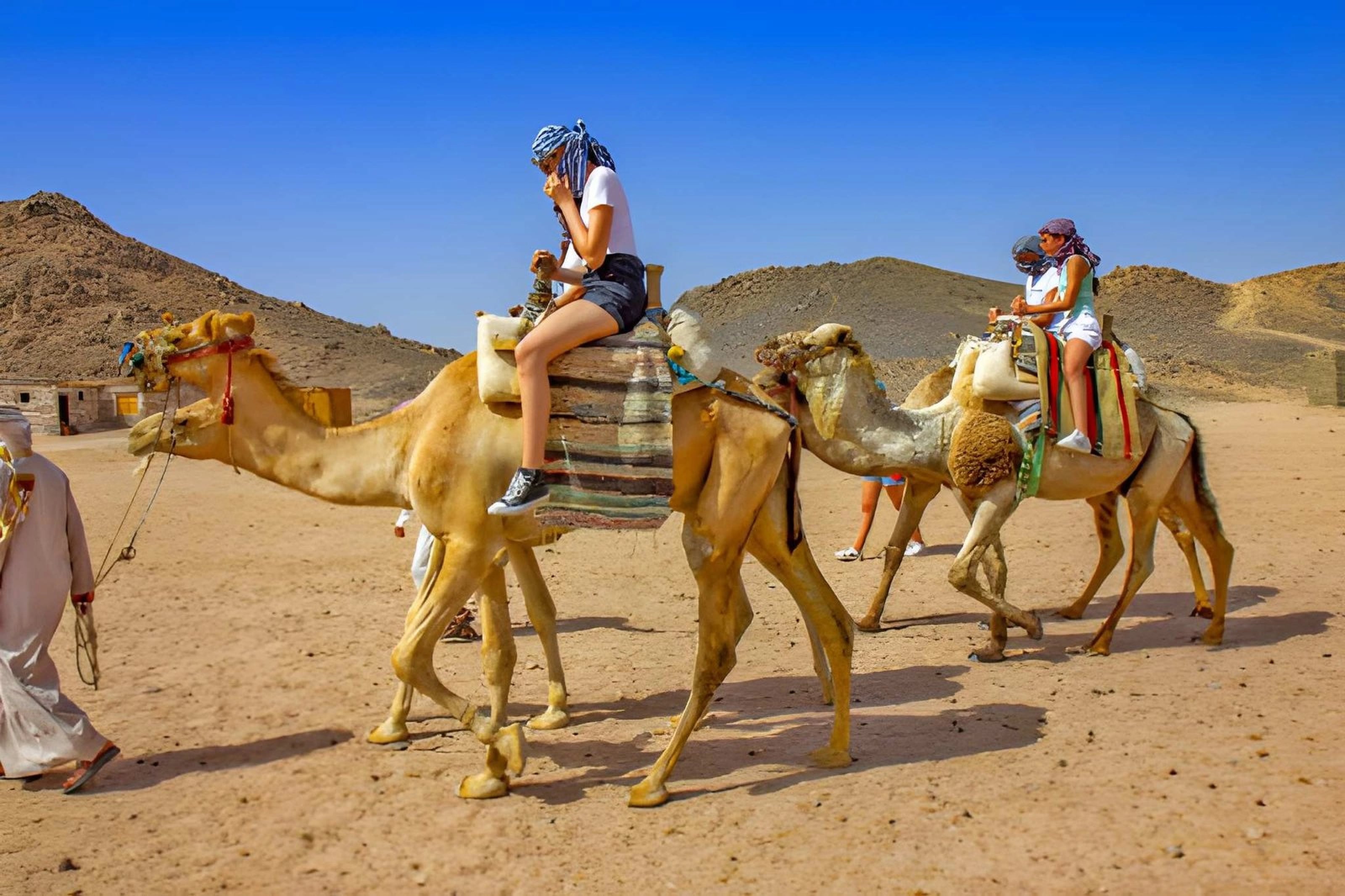Marsa Alam desert stargazing safari with Bedouin dinner