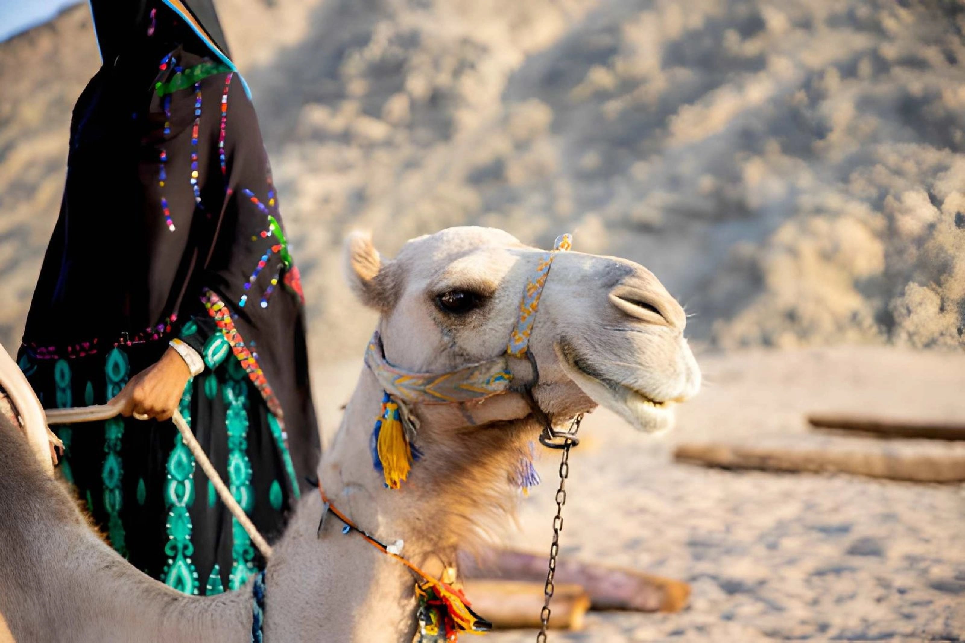 Sharm El Sheikh ATV Quad Bike & Camel Ride, photo 11