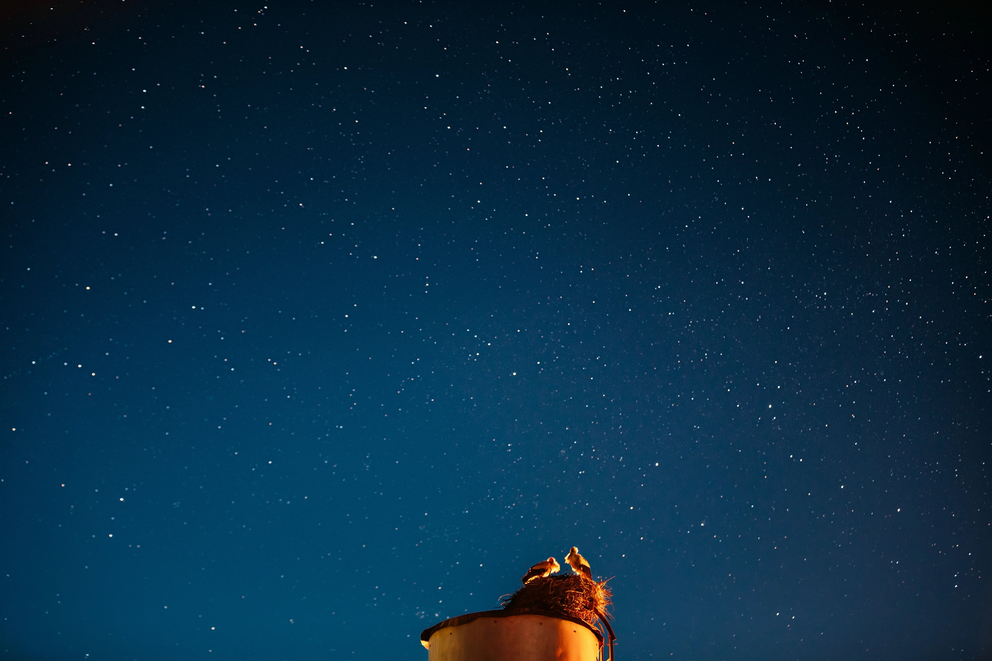 Marsa Alam desert stargazing safari with Bedouin dinner