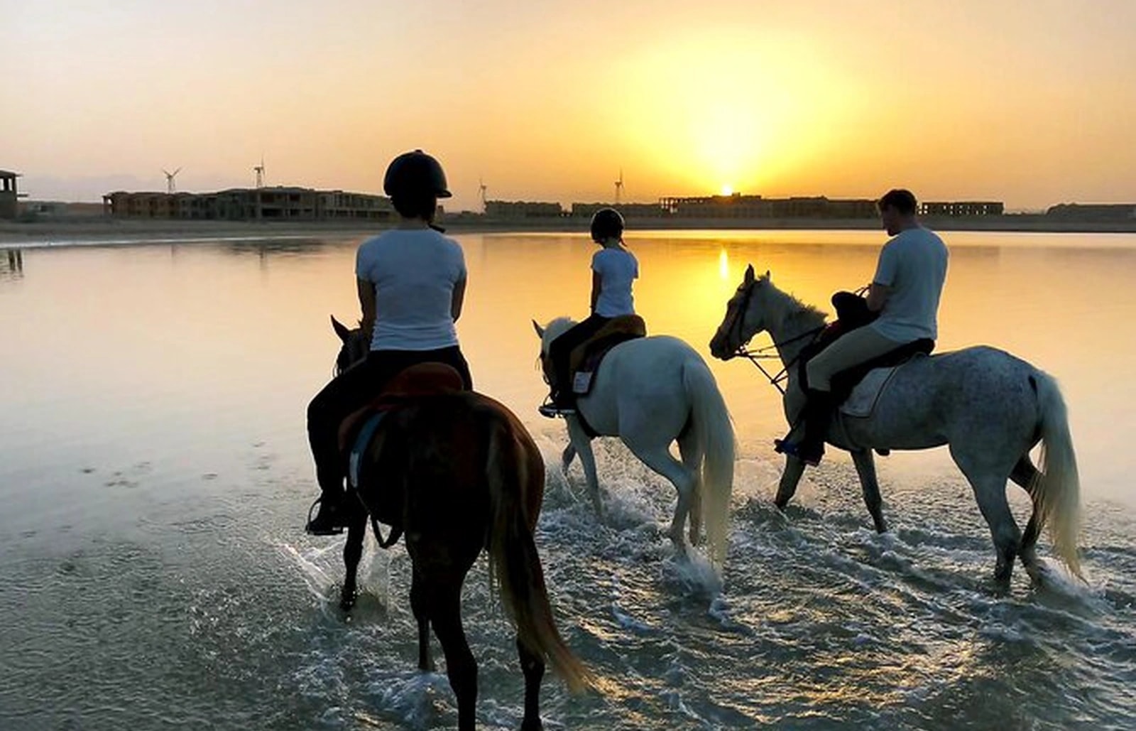 Horse Riding Tour in Hurghada Sea & Desert with Transfer, photo 2