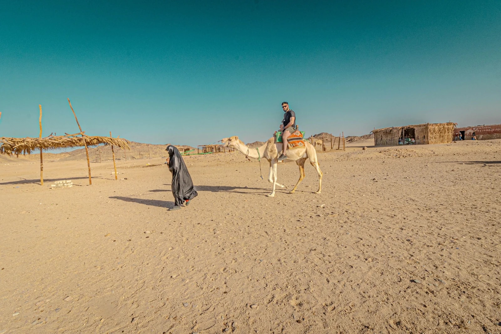 Sunset Camel Ride Hurghada, photo 4