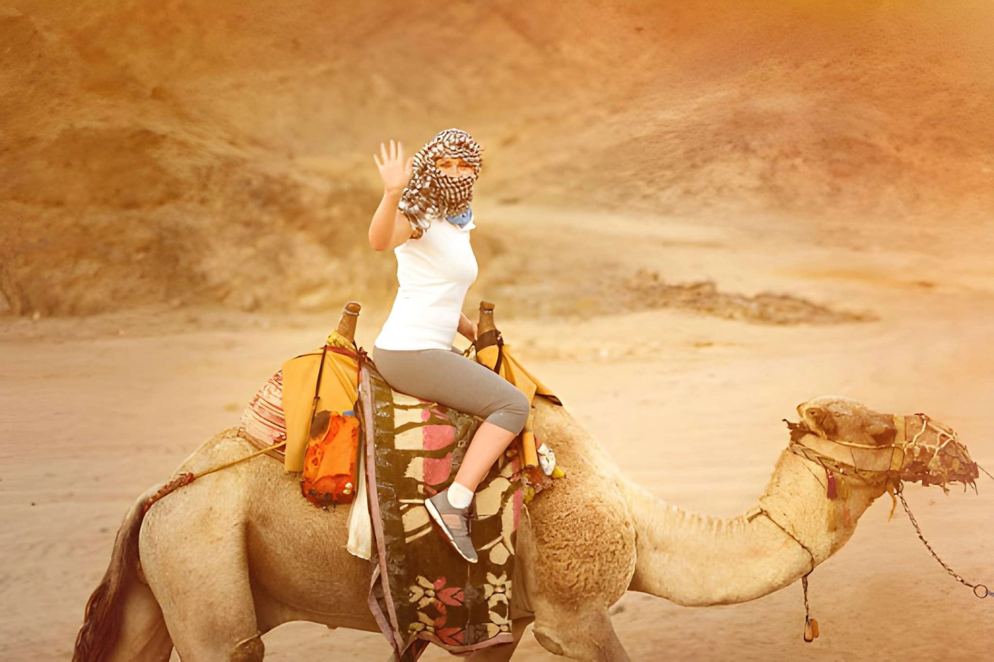 Desert Safari ATV Quad, Camel Ride, BBQ Dinner & Show in Sharm El Sheikh, photo 4