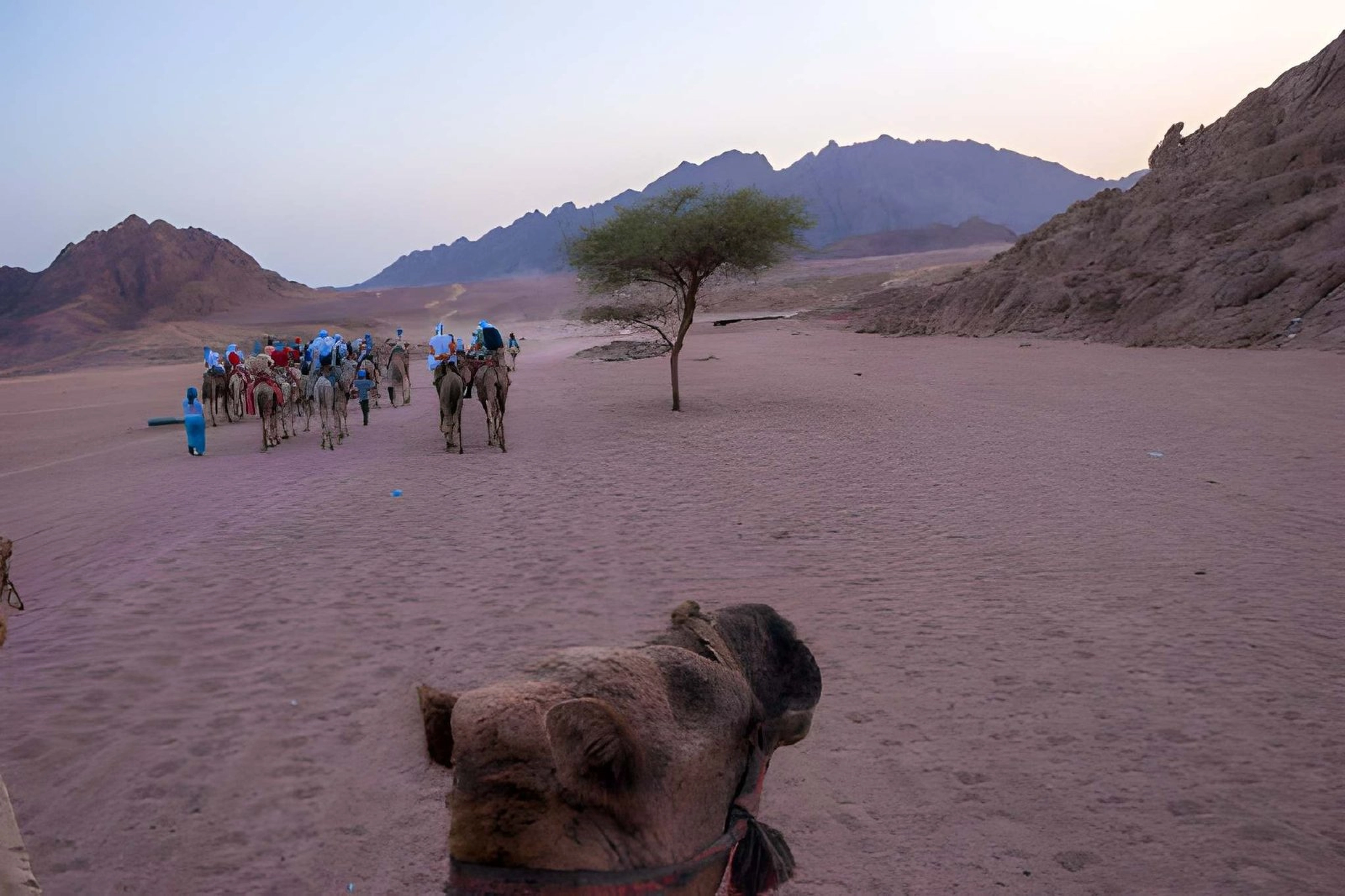 Csillagvizsgáló safari Marsa Alam sivatagában beduin vacsorával
