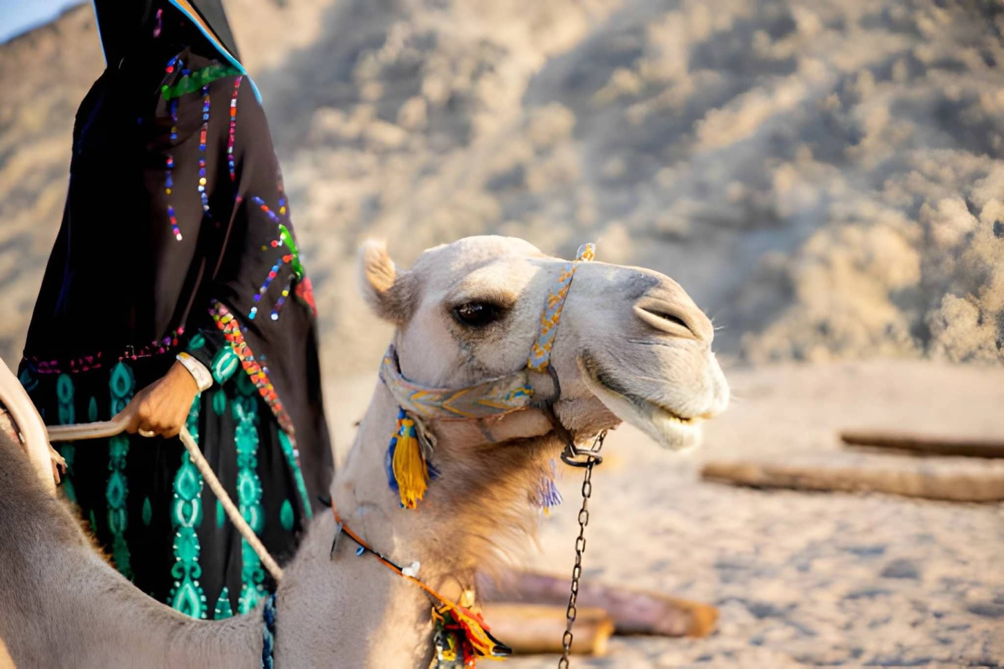 ATV quad biking in Sharm El Sheikh desert with camel ride – photo 11