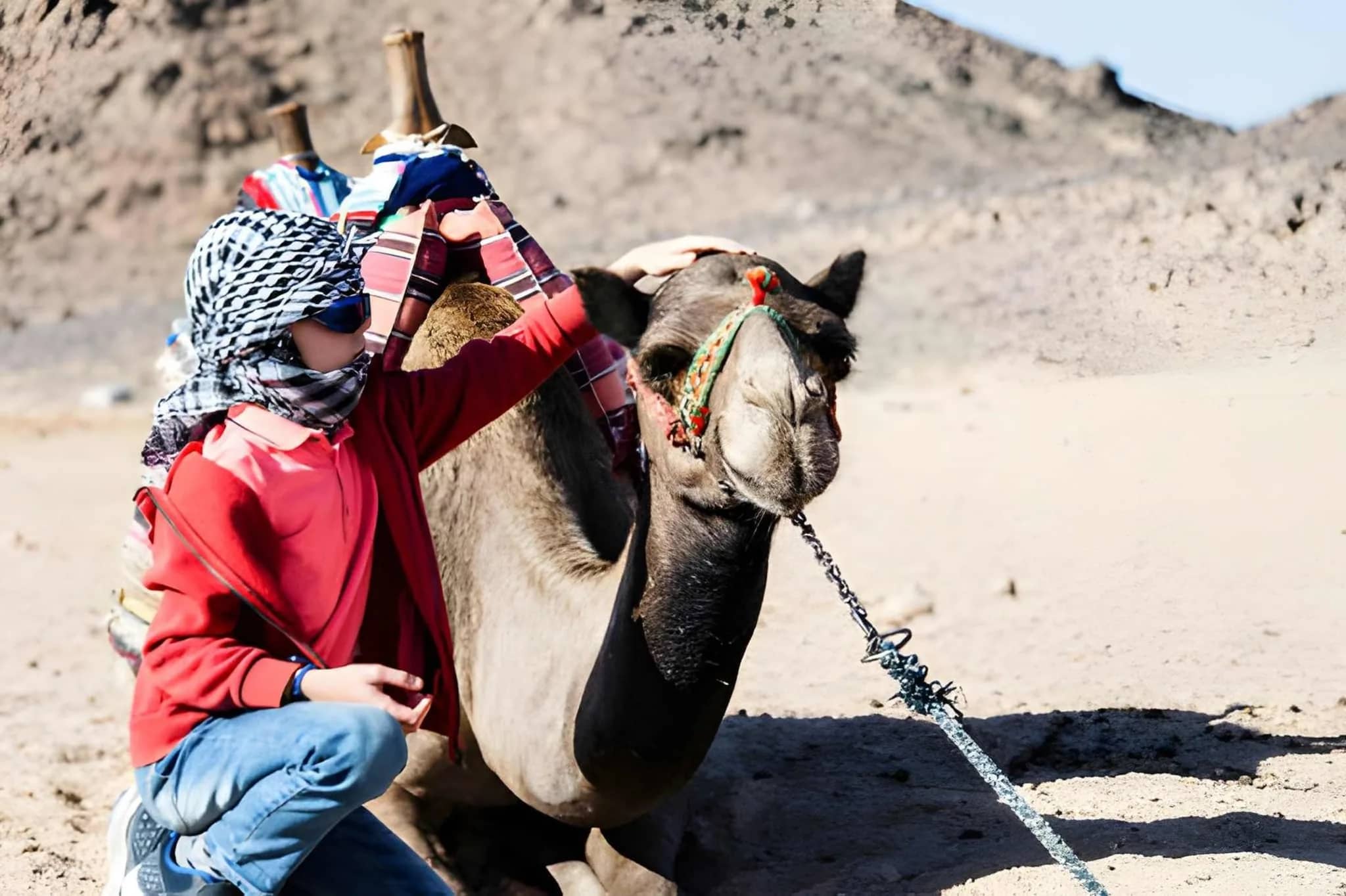 Desert Safari ATV Quad, Camel Ride, BBQ Dinner & Show in Sharm El Sheikh 6