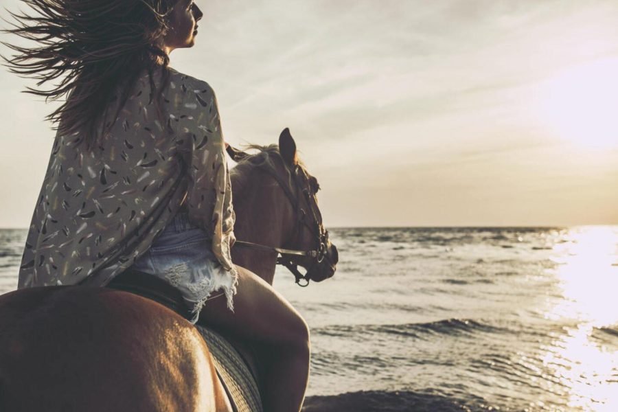 Horseback Riding - Desert & Sea in Hurghada (2)