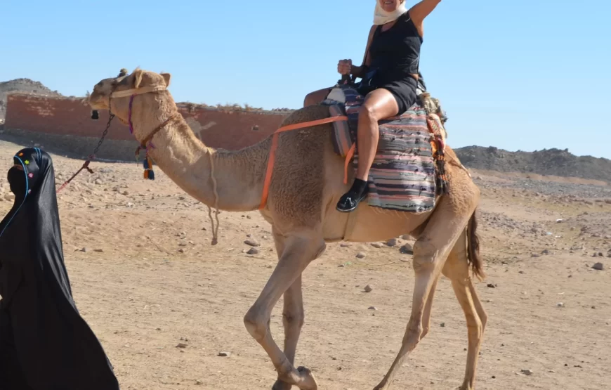 Hurghada: ATV Quad Bike Safari and Camel Ride