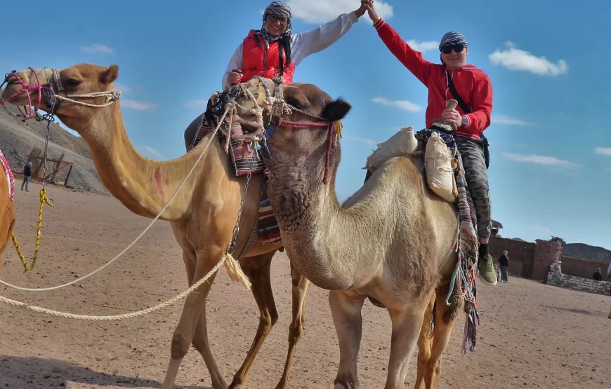 Hurghada: ATV Quad Bike and Camel Ride