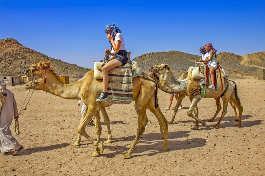 Sharm El Sheikh: ATV Quad Bike, Echo Caves, Bedouin Tea, Dinner and Show